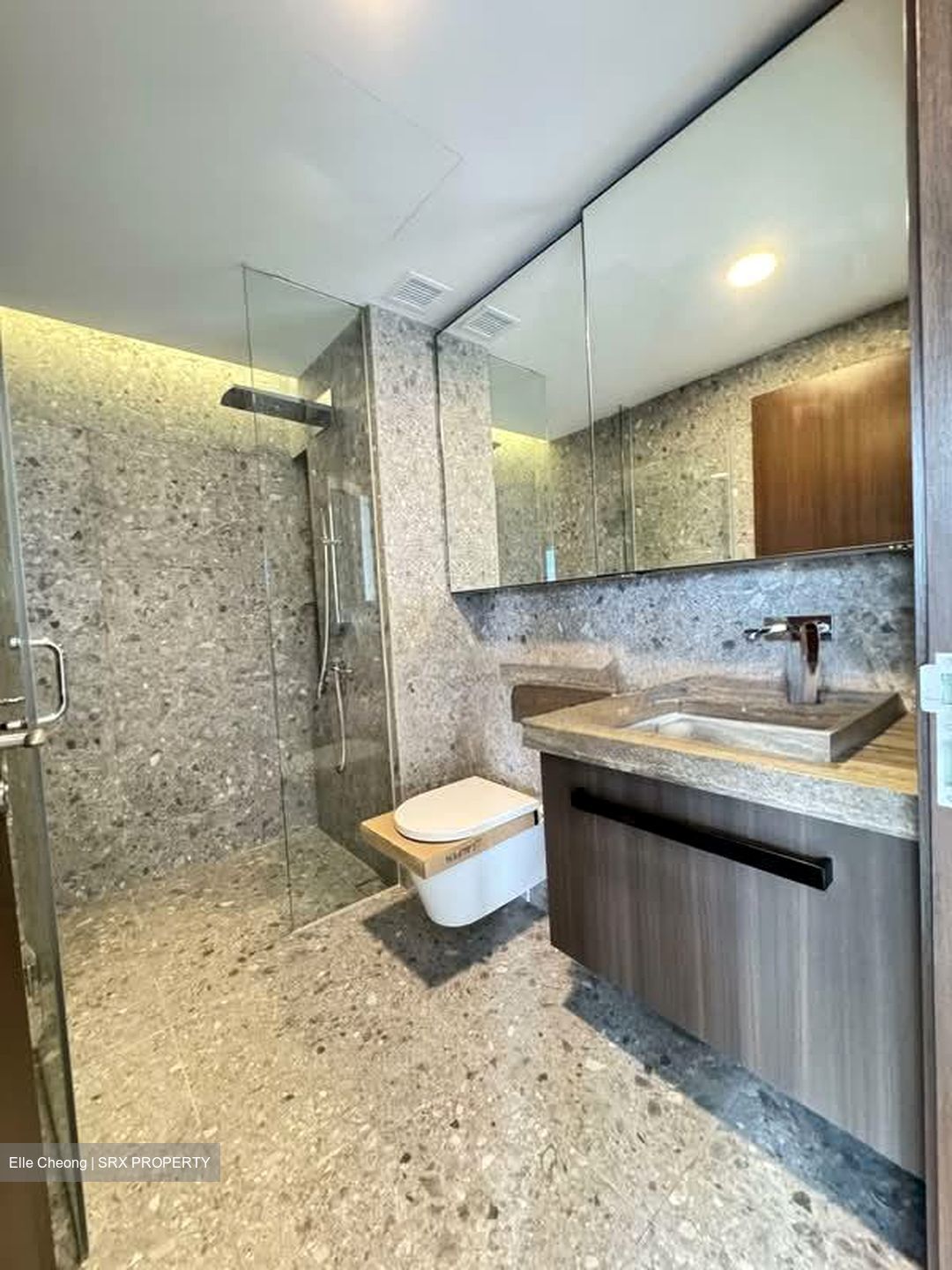 One Pearl Bank (D3), Apartment #544982541
